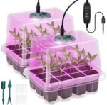minidrivhus med lys