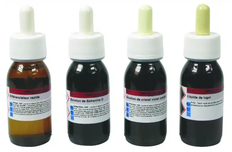 GRAM-farvningskit til mælkebakterier indeholder fire dråbeflasker: rapid differentiator, safranin O, crystal violet og Lugol's iodine.