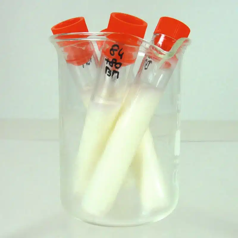 Et klart bægerglas indeholder tre rør med rødt låg og mærket Mikrobiologisk initieringssæt - Yoghurtbakterier med hvidt pulver.