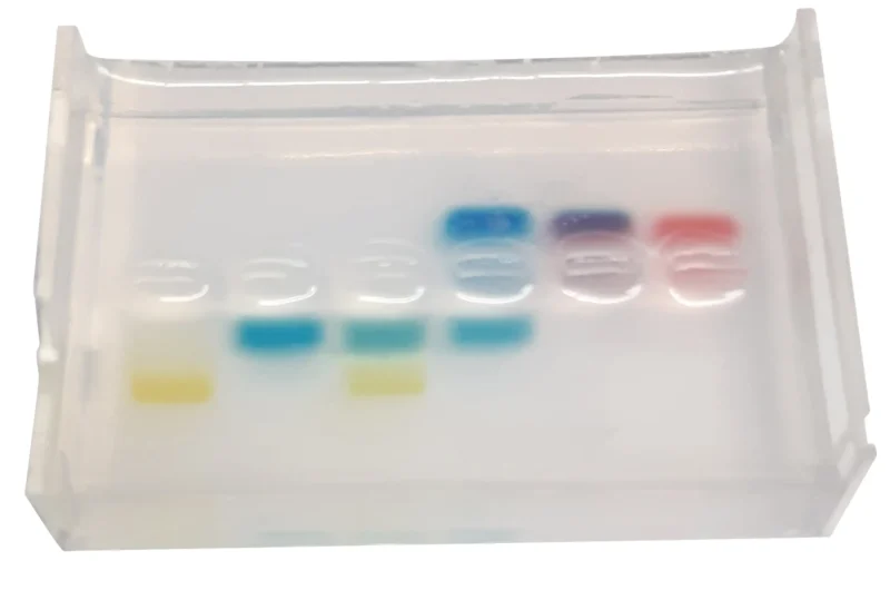 Kit Principperne for elektroforese har en 6-brønds agarosegel med blå, gule og røde bånd, der adskilles ved elektroforese.