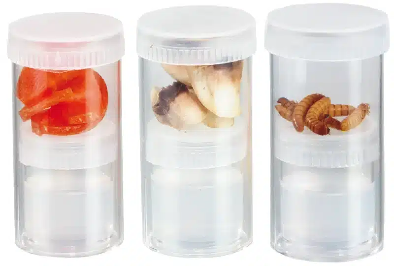 Tre Åndedræts-/kalkvandshøjttalere med låg indeholder tomatskiver, svampe og melorme, der er arrangeret side om side.