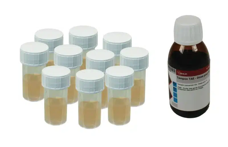 Agarose_easygreen_TAE_117274_117273_117258_1_f990 - LabDidakt.dk Ti små hætteglas og en stor flaske mærket "Agarosegel EasyGreen™ 2% præfabrikeret + TAE 10X | Jeulin".