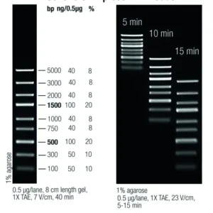 DNA-molekylvægtstige (100 µL)