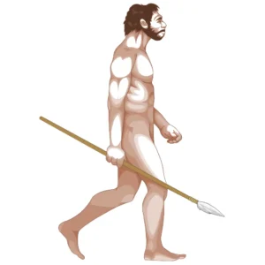 DNA-kit RhD-allel Neanderthal og H. sapiens (DNA-elektroforese)