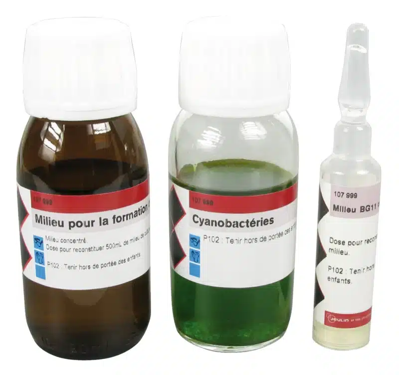 Cyanobakteriekit til stromatolitdannelse indeholder en brun flaske, en klar flaske mærket Cyanobactéries og en klar ampul.