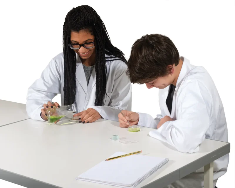 To studerende bruger Cyanobakteriekit til stromatolitdannelse til et videnskabeligt eksperiment med en notesbog og en petriskål.