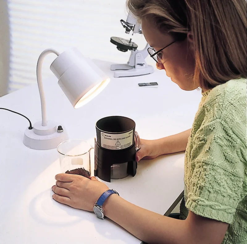 En person med briller undersøger jord i en Berlese-tragt under en skrivebordslampe med et mikroskop på et hvidt bord.