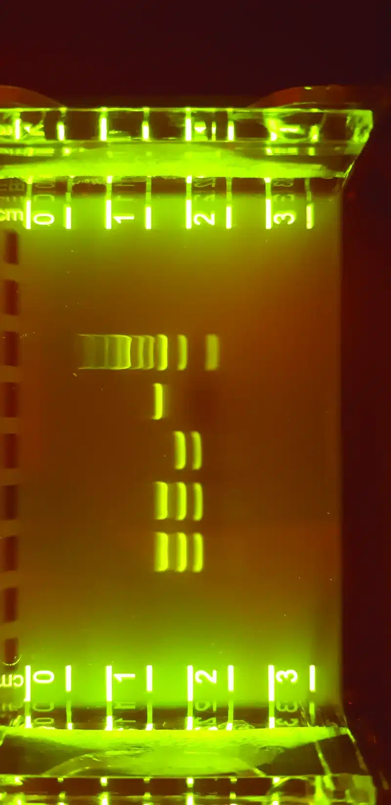 Hæmokromatose-kittet (DNA-elektroforese) viser flere DNA-bånd af forskellig størrelse i flere lodrette gelbaner.