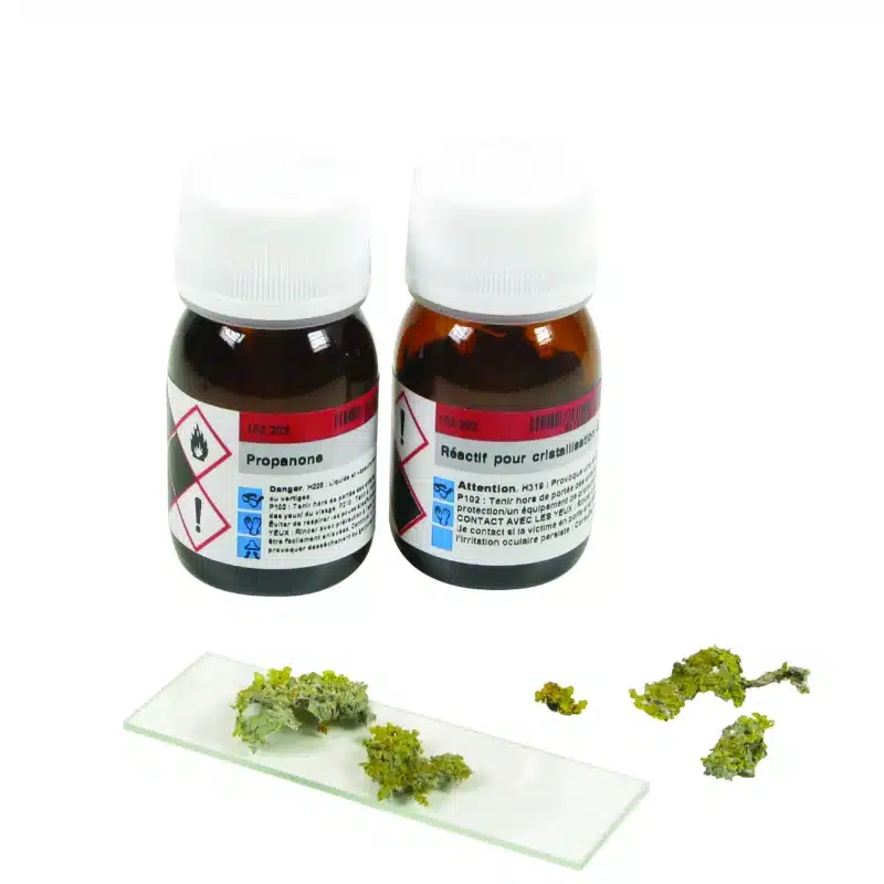 Ekstraktions- og krystalliseringssæt til parietin (lav): To brune flasker med fare-mærker, hvide låg, glasplade og grønne plantedele.