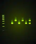 En fluorescerende gel viser PCR Kit Alu Sekvenslocus PV92 DNA-stigen til venstre og seks grønbåndede prøvebaner.