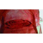 Nærbillede af Forberedelsesdia: Sneglens Radula, der viser et rødt net med en vandret, oval åbning i midten.