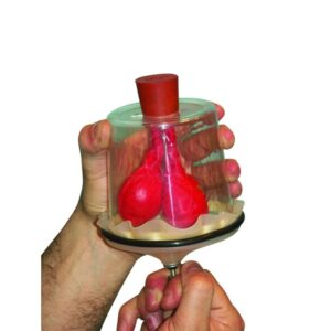 Åndedrætssystemets funktion