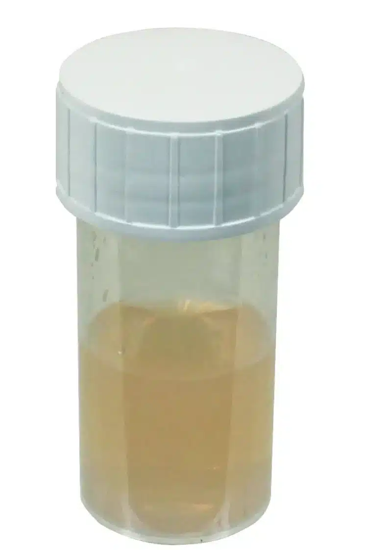 tube_gel_easygreen_117271_1_431e - LabDidakt.dk Agarosegel EasyGreen™ 1% præfabrikeret af Jeulin: en klar beholder med lysegul gel, forseglet med et hvidt skruelåg.