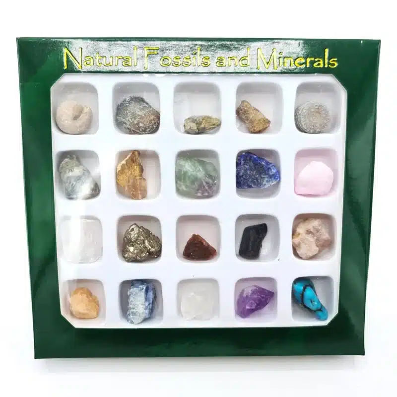 Krystaller-og-mineraller-scaledjpg - LabDidakt.dk En grøn kasse mærket "Æske med 20 forskellige fossiler og mineraler" indeholder 20 forskellige sten og fossiler i et 4x5-gitter.