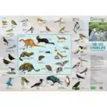 Foldetavle "Sø og Vandløb, Krybdyr mfl" med illustrationer og danske navne på dyr fra søer og vandløb mod skymotiver.