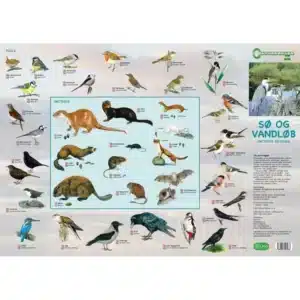 Foldetavle "Sø og Vandløb, Krybdyr mfl" med illustrationer og danske navne på dyr fra søer og vandløb mod skymotiver.