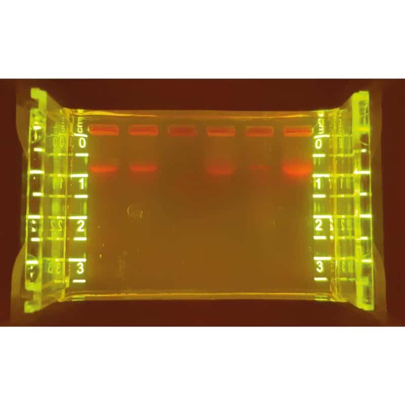 Mutationskit ΔF508 Cystisk fibrose CFTR - Jeulin - LabDidakt.dk Mutationskit ΔF508 Cystisk fibrose CFTR