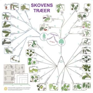 Bestemmelsesduge & foldetavler