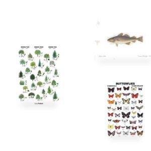Plakater & litografier
