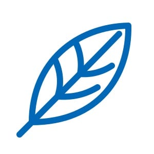 Biologi
